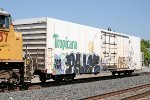 Tropicana reefer TPIX #3353